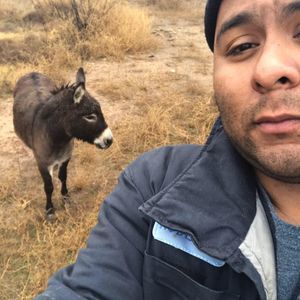 Meet your Posher, Roberto